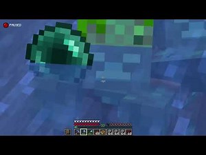 Minecraft Zombie Steals Endermens Balls