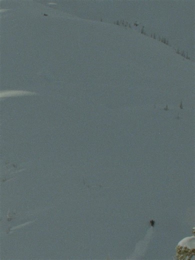 Arbor Snowboarding on Reels