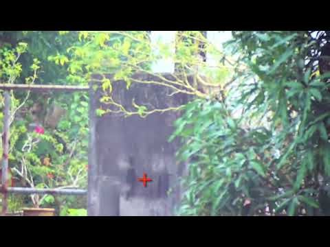 DartZone Nexus Pro X 30m Accuracy Test