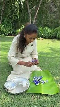 How to make Blue Pea Flower mala, watch the full video on my channel