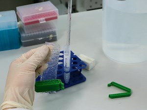 Recombinant Protein Expression, Crystallization, and Biophysical Studies of a Bacillus-conserved Nucleotide Pyrophosphorylase, BcMazG