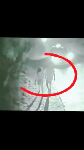 DarkSoulz on Instagram: "日本利用压电瓷砖将脚步转化为电能。这些瓷砖捕 捉来自你脚步的动能。当你行走时,你的重量和动 作会对瓷砖产生压力。瓷砖会轻微弯曲,从而产生 机械应力。瓷砖内部的压电材料将这种应力转化为 电能。每一步都会产生少量电荷,而数百万步结合 在一起就能产生足够的电力来驱动 LED灯、数字显 示屏和传感器。在像涩谷车站这样繁忙的地方,每 天大约有240万个脚步为这一系统作出贡献。这些 电能可以被储存或立即使用,从而减少对传统电力 来源的依赖,并支持可持续的城市基础设施。这种 方法将日常运转化为实用的可再生能源 #日本 #知 识 #事实 #你知道吗 #推荐 #科技 #创新 #历史 # 技术 #实验 #热门"