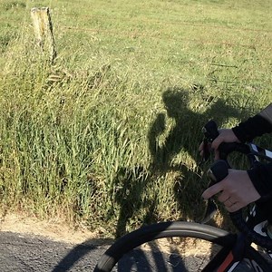 @nokidhungry | Carey Hart