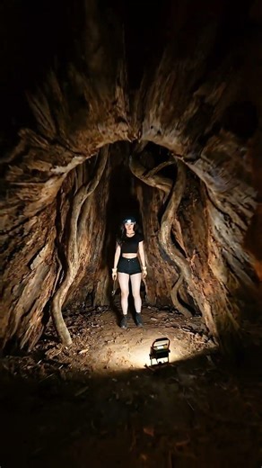 I Built a Secret Luxury Bunker INSIDE a Giant Tree Trunk!