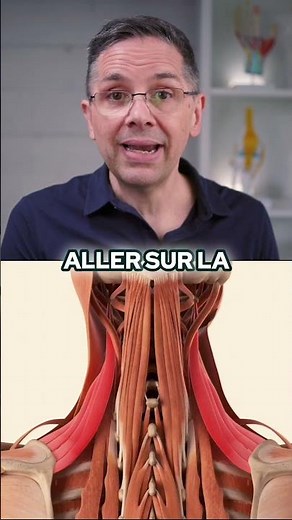 Soulagez vos tensions : Le secret des muscles angulaires de l'omoplate !