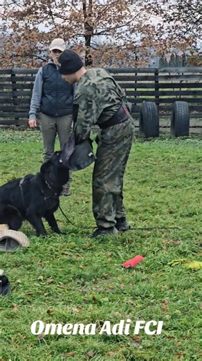 4.3K views · 87 reactions | Iskiereczka Omena Adi FCI  BH-VT, IGP 1, DNA WB Test, KKL HD F. Normal(SV ED Normal(SV) O. Tobi vom Bierstadter Hof M. Tola Mavic Poland Przewodnik: Kaśka Jędraszewska Pozorant: Mateusz Majcher | Hodowla owczarków niemieckich Adi FCI | Facebook