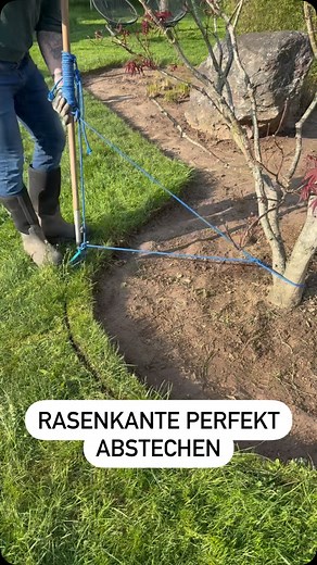 Heute habe ich eine saubere Rasenkante abgestochen, um ein neues Beet für Gräser anzulegen. Dafür habe ich verschiedene Methoden ausprobiert: einmal mit Seil zweifach fixiert, einmal einfach fixiert und einmal mit einer Latte als Führung. So entsteht eine perfekte Kante für mein neues Gräserbeet.#rasenkante #gartenprojekt #beetgestaltung #gräserliebe #gartenideen #gartenliebe #rasenkanteabstechen #gräserbeet #bambusgarten #blutgras #gartengestaltung #pflanzenliebe #meinprojekt | Spa & Ten