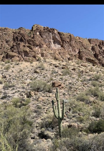 Discovering the Beauty of Arizona's Desert