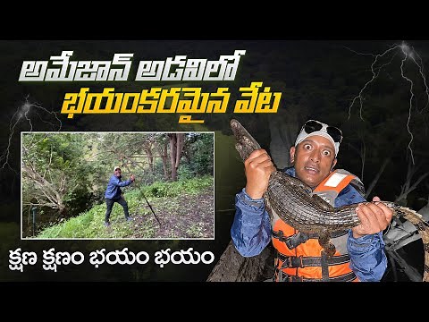 Most Dangerous Animals in the Amazon Rainforest