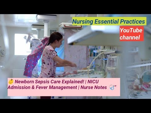 👶 “Newborn Sepsis Care Explained! | NICU Admission & Fever Management | Nurse Notes 🩺”