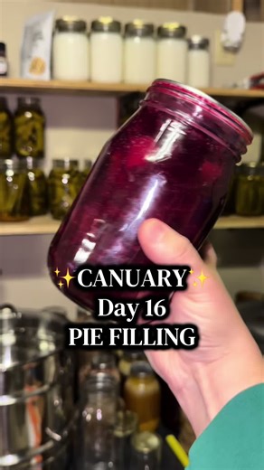 PIE FILLING . This is a great base pie filling recipe!! . #homesteading #canning #kitchen #canuary