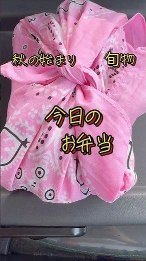 皮剥きが大変だったみたい 自家製🌰栗ご飯 感謝の気持ち届け#手作りお弁当 #お弁当 #ランチ弁当 #栗ご飯