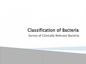 Classification of Bacteria - SlideServe