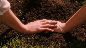 Flipped.(2010,.Rob.Reiner).(Spanish.English.Englishsub.Spanishsub).HD.1080p.HEVC.10b-AC3.AAC.by.RemY