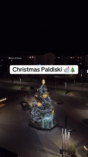 Christmas Paldiski 🛳️🎄 #Nature_of_estoonia #Paldiski #Winter #Estonia #Talv