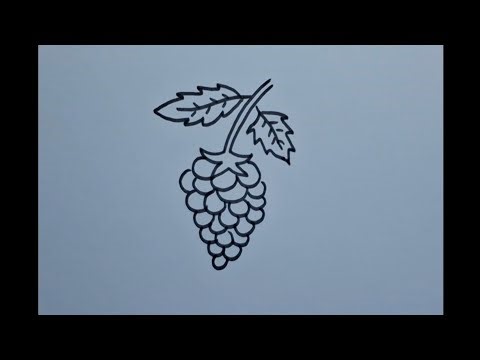 Raspberry drawing, easy and slow drawing, pencil colour