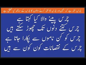 What Is Cannabis? |Charas Kya Cheez Hai