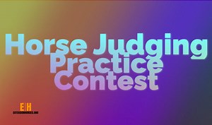 Gearing up for fall Horse judging contests? These Horse Judging Practice contests are perfect to get you ready! | ExtensionHorses | Facebook