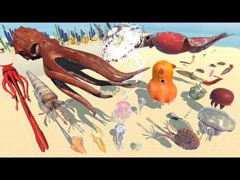 Marine invertebrates Size Comparison - 3D Animal Animation Comparison