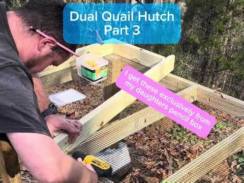 Dual Quail Hutch Build Part 3 — Installing Exterior & Interior Walls (DIY Quail Coop Project)