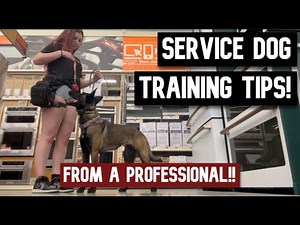 Service dog training tips! (From a professional)