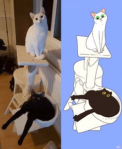 Roomates. by Kekeflipnote on TW | Studio Ghibli, Japan and Anime Fans