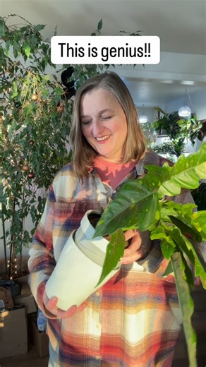 Felicia Keck on Instagram: "You know I love a good self-watering pot, and this one is really well designed. Costa Farms’ Twist, Lift & Water system keeps it simple: twist and lift the inner pot, add water to the reservoir, twist it back in, and let the wick do the work. The plant takes up water as it needs it, which helps remove a lot of the guesswork from watering. I’m always curious — have you tried self-watering pots, or are you team top-water? 🌱 #houseplantcare #selfwateringpots #plantparen