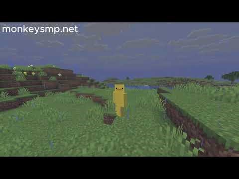 Why YOU should join monkey smp