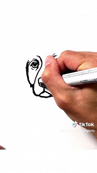 How to Draw a Brittany Dog #brittany #dog #drawing