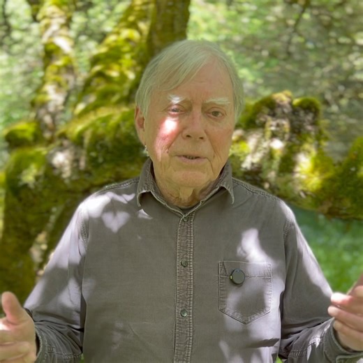 Michael Meade Mosaic Voices on Reels