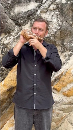 🐚 Conch Shell - Sound Healing sample ✨