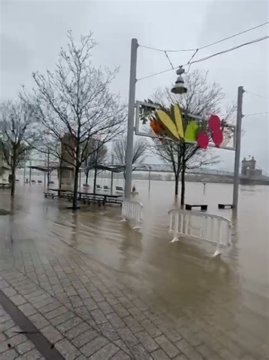 Ohio River Flooding in Cincinnati: Latest Updates