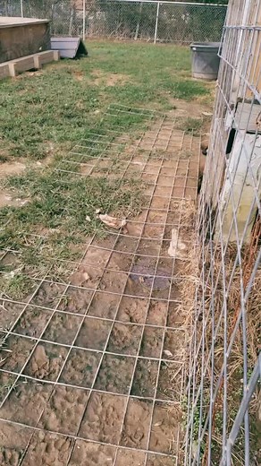 ~Trickster~ Loki on TikTok