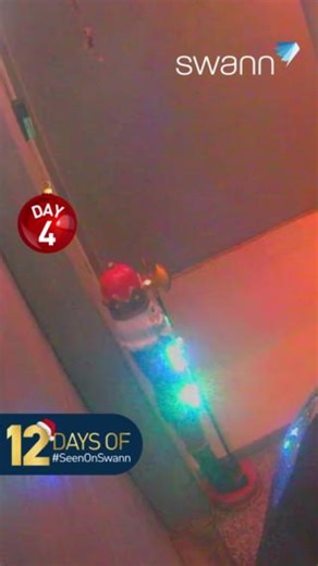 1.4K views · 28 reactions | On the fourth day of #SeenOnSwann, we are...