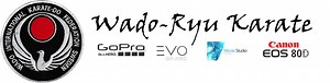 Wado-ryu karate