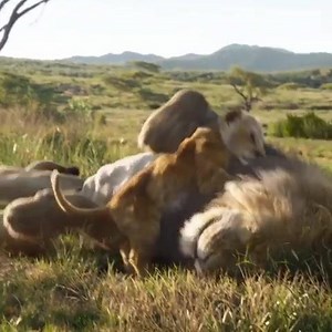 5.3K views · 276 reactions | Learn what #TheLionKing means to stars Donald Glover, Beyonce, and director Jon Favreau and see the film now in theatres! | Walt Disney Studios | Facebook