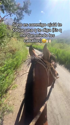🥴#paratiii#caballos#huasitaschilenas
