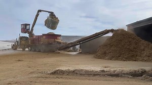 447K views · 6.4K reactions | Feeding cows and grinding hay Each Tuesday we grind hay and straw for dry cows and in calf heifers diets | Drumgoon Dairy | Facebook