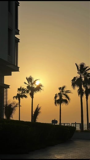 Sun beach dance repeat ☀️ #مالي_خلق_احط_هاشتاقات #الشعب_الصيني_ماله_حل😂😂 #kuwait🇰🇼 #explore #ladymask