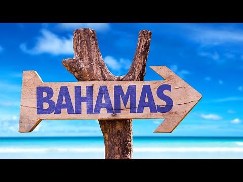 An Overview of Diving in the Bahamas.