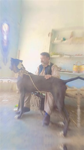 veer #comingsoon #foryoupageofficiall #moorat #@AM-01♛ #@$yed \\/\\/@j¡d♥️😘 #@Muhammad Jameel❤️‍🩹 #@Mohsin Mughal ❤️❤️ #@𝙍𝙖𝙟𝙖 𝙎𝙝𝙖𝙟𝙞 (منگٹال)🦅 #@مجنون نال الحب❤️