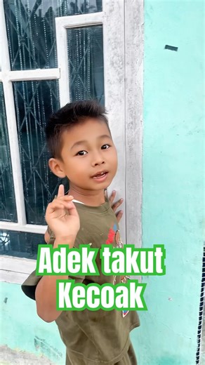 There are cockroaches