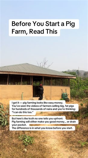 Here are 5 things to think about before you buy your first pig: 1️⃣ Capital vs Expectations Do you know how much it really costs to feed a pig to market weight? If you don’t, you may be setting yourself up for disappointment. 2️⃣ Breed Choice Not every pig breed grows fast or converts feed efficiently. One wrong purchase can delay your market sales by months. 3️⃣ Housing & Biosecurity Pigs are tough but can die quickly from poor hygiene and disease. Good pen design and cleanliness are not option