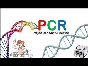 Polymerase Chain Reaction for beginners