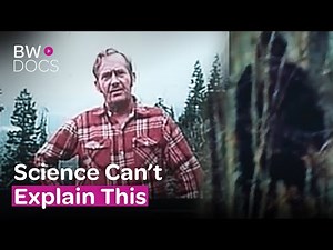 Bigfoot, Cryptids & the Evidence Science Can’t Explain | Paranormal Truth