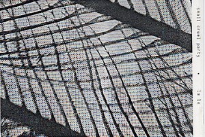 Small Cruel Party - La La