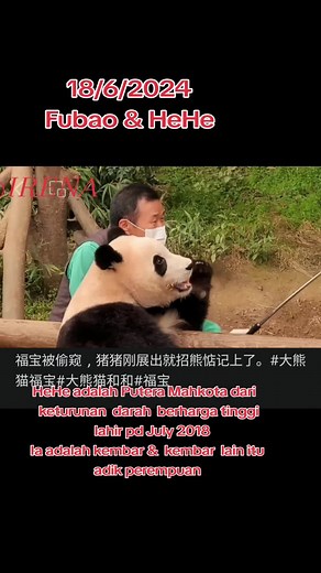 IRENA ~ MAKCIK AI ~ on TikTok