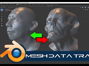 Blender模型网格数据转移传送插件 Mesh Data Transfer V2.0.7