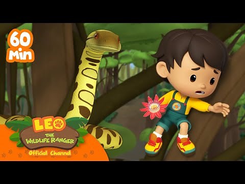 GIANT SNAKE ATTACK!! 🐍 | BEST OF LEO | 1 HOUR EPISODE | Leo the Wildlife Ranger | Kids Cartoons