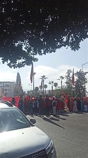 #المسيرة_الخضراء #الصحراء_المغربية